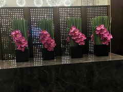 -湛江菜.江南首席(昆山店)