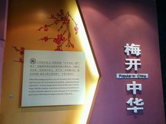 -梅园