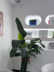 -Dr.Jane皮肤管理中心
