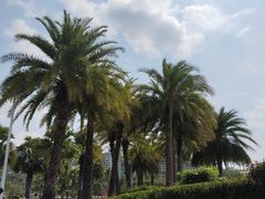 -三亚游船旅游中心(三亚鹿回头游艇游船公共码头店)