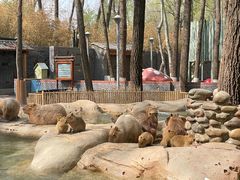 -北京野生动物园
