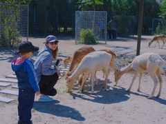 -北京麋鹿生态实验中心
