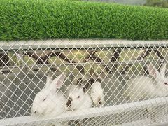 -潭柘厚院(桑峪村店)