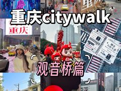 -丁家坡洋芋·观音桥好吃街A区(全国总店)