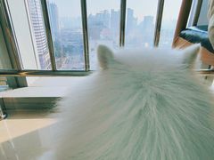 -幸福蓝海国际影城(崇安寺T12店)