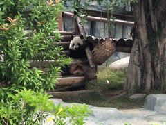 -泉州海丝野生动物世界