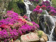 -沂蒙云瀑洞天景区