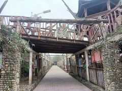 -呀路古热带植物园
