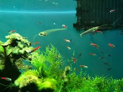 -多彩贵州城极地海洋世界