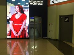 -谢列梅捷沃国际机场