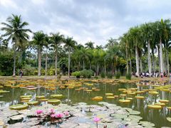 -中国科学院西双版纳热带植物园
