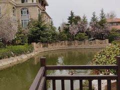 -芭东小镇温泉