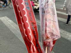 -和禄德冰糖葫芦