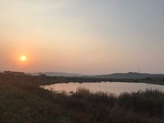 -御道口草原森林风景区