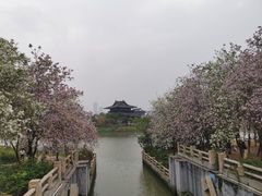 -海珠湖公园