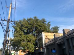 -北京地质礼堂