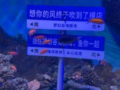 -横店影视城梦幻谷园区