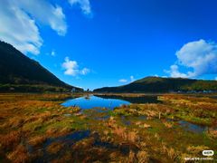 -腾冲北海湿地