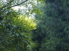 -西岭雪山大飞水景区
