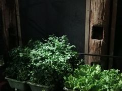 -旅马餐厅(茅家埠店)