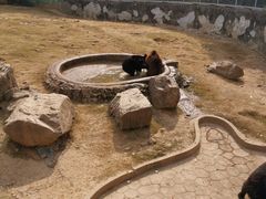 -无锡动物园·太湖欢乐园