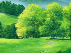 -大熊猫毛肚火锅(烟台万象汇店)