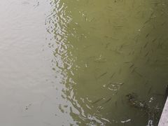 -梁鸿国家湿地公园