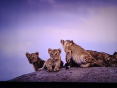 -广东科学中心科技影院