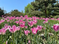 -北京植物园南门售票处