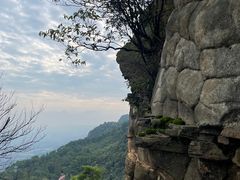 -缙云山景区