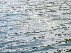 -丽江泸沽湖景区-里格半岛