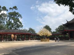 -广东圆玄道观