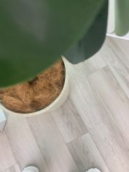-HEYAN荷妍专业脱毛连锁机构