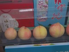 -老袁家蜜桃农场·阳山水蜜桃