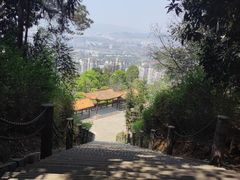 -铁山坪森林公园