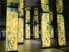 -中国湿地博物馆