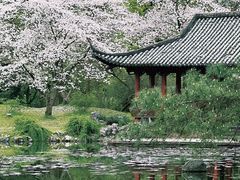 -杭州植物园