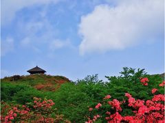 -大围山国家森林公园