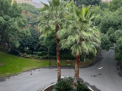 -上海汾阳花园酒店