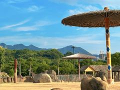 -杭州野生动物世界