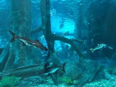 -福州罗源湾海洋世界旅游区