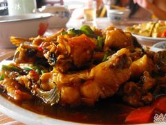 啤酒魚-老根农家饭店