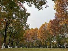 -重庆中央公园(渝北区)