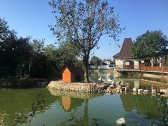 -静之湖湖畔餐厅