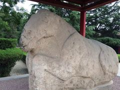 -茂陵博物馆