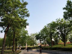 -济宁市太白湖旅游景区