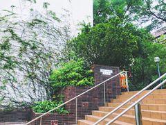 -香港大学