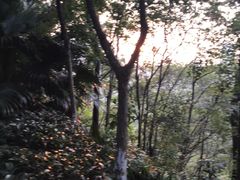 -重庆彩云湖湿地公园