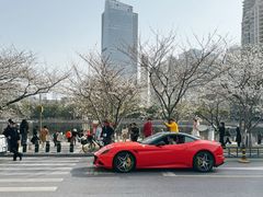 -西北湖绿化广场