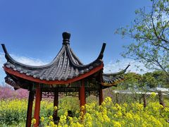 -南汇桃花村